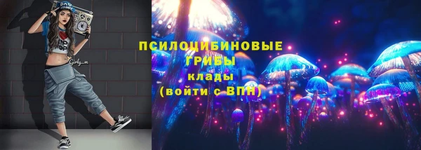 ПСИЛОЦИБИНОВЫЕ ГРИБЫ Михайлов