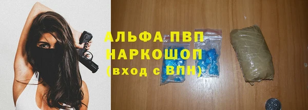 ПСИЛОЦИБИНОВЫЕ ГРИБЫ Михайлов