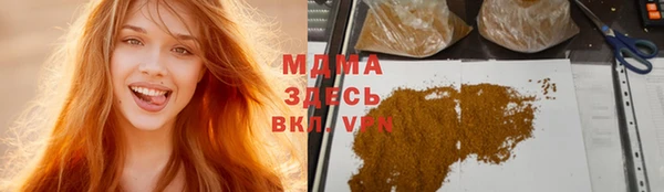 ПСИЛОЦИБИНОВЫЕ ГРИБЫ Михайлов