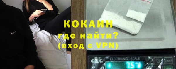 ПСИЛОЦИБИНОВЫЕ ГРИБЫ Михайлов