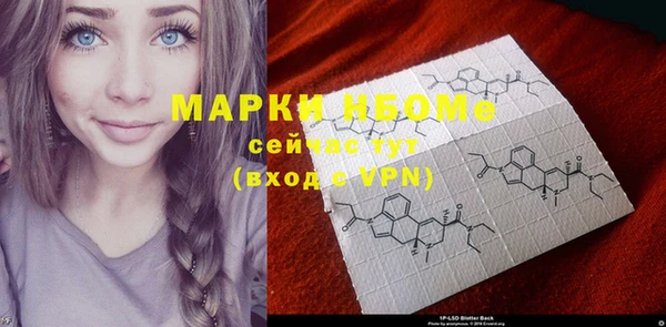 ПСИЛОЦИБИНОВЫЕ ГРИБЫ Михайлов