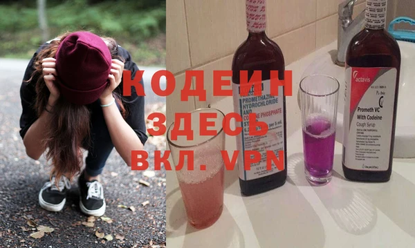ПСИЛОЦИБИНОВЫЕ ГРИБЫ Михайлов