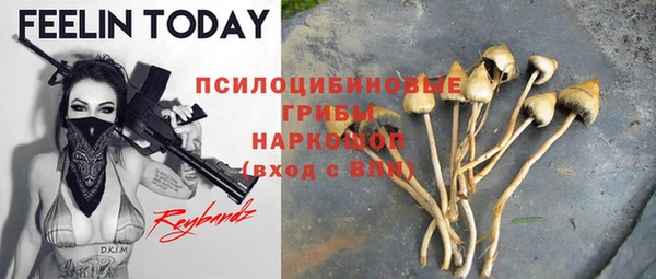 гидропоника Михайловка