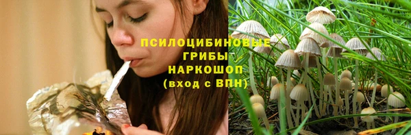 дмт Михайловск