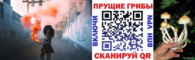 Купить закладки  Кондрово  Галлюциногенные грибы ЛСД 